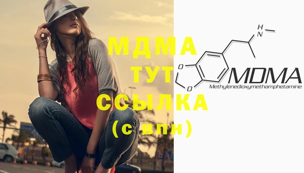 PSILOCYBIN Лабытнанги