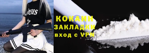 крисы Лагань