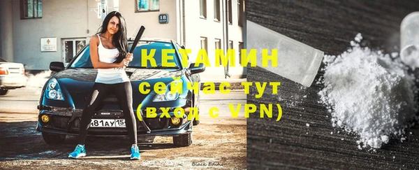 крисы Лагань