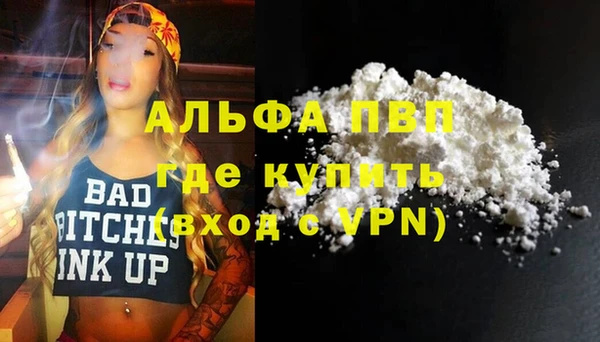 PSILOCYBIN Лабытнанги