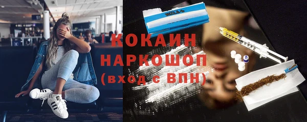 крисы Лагань