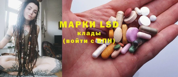 крисы Лагань
