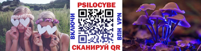 купить   Зуевка  Галлюциногенные грибы прущие грибы 