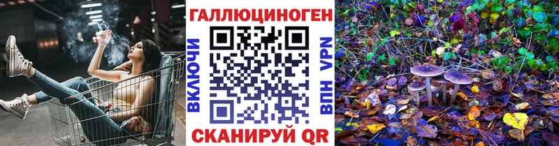Галлюциногенные грибы Psilocybine cubensis Зуевка